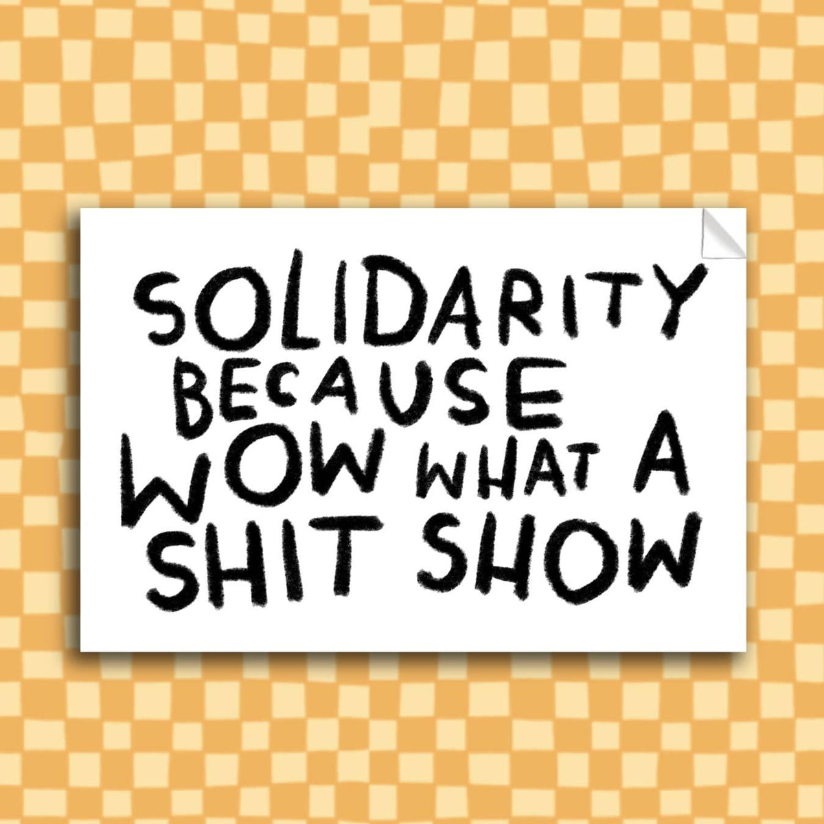 SHIT SHOW SOLIDARITY Sticker – Bowerbird Flowers